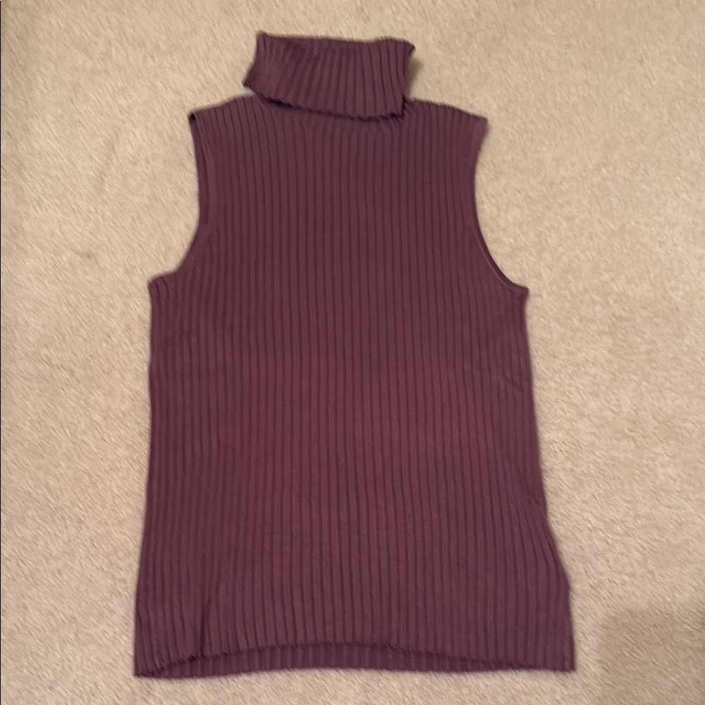 Express Ribbed Sleeveless Turtleneck - Brown